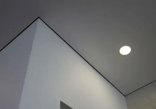 XXL (1) (1)